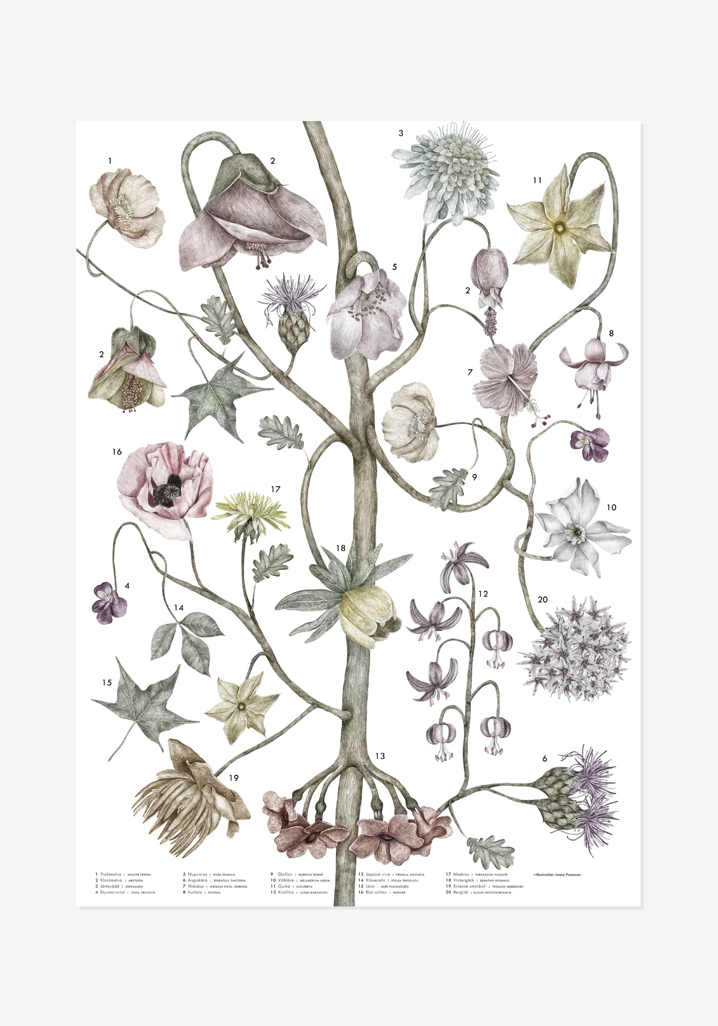 Poster, Jonna Fransson, Blomster