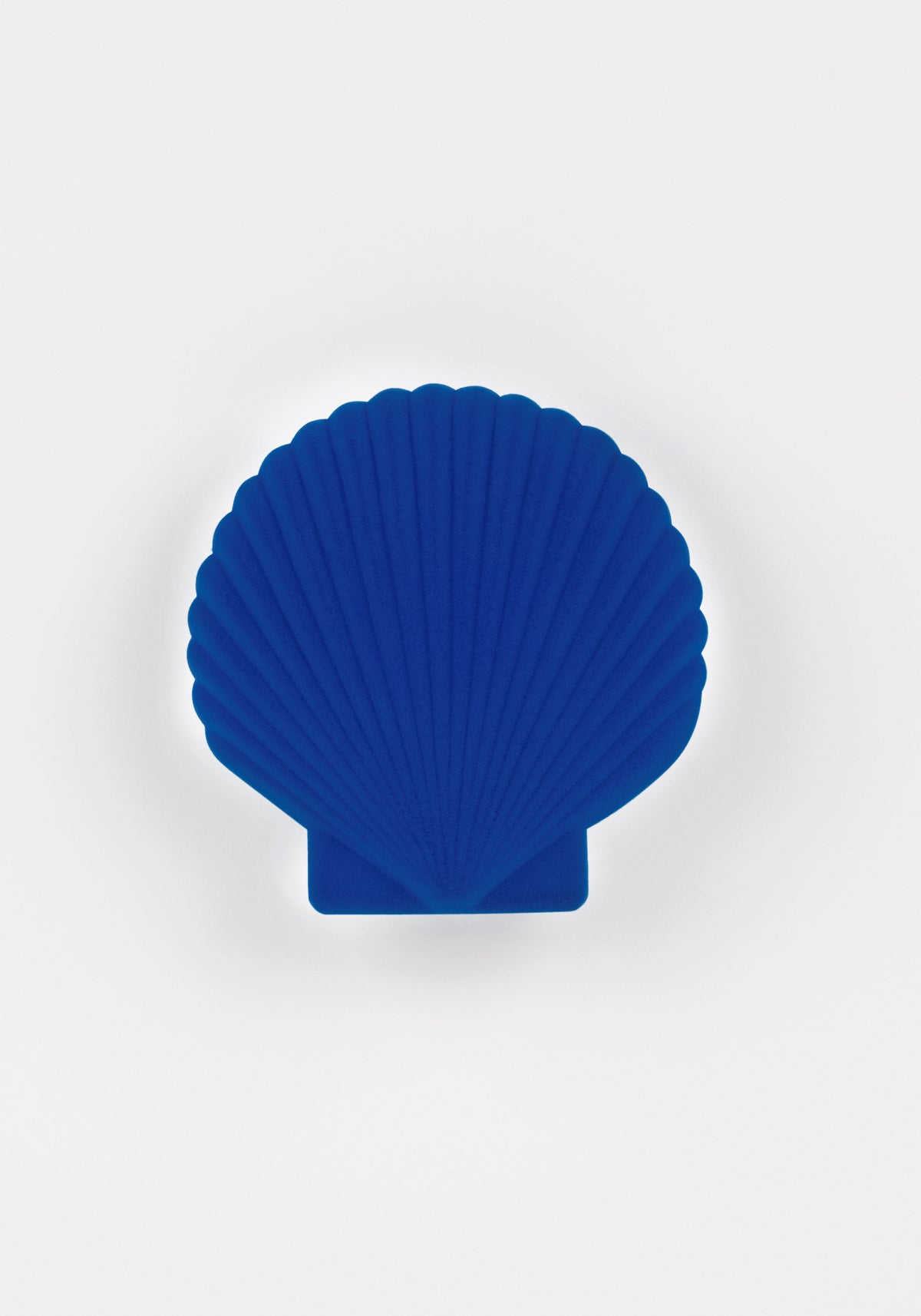 Jewelry Box Venus Shell Blue