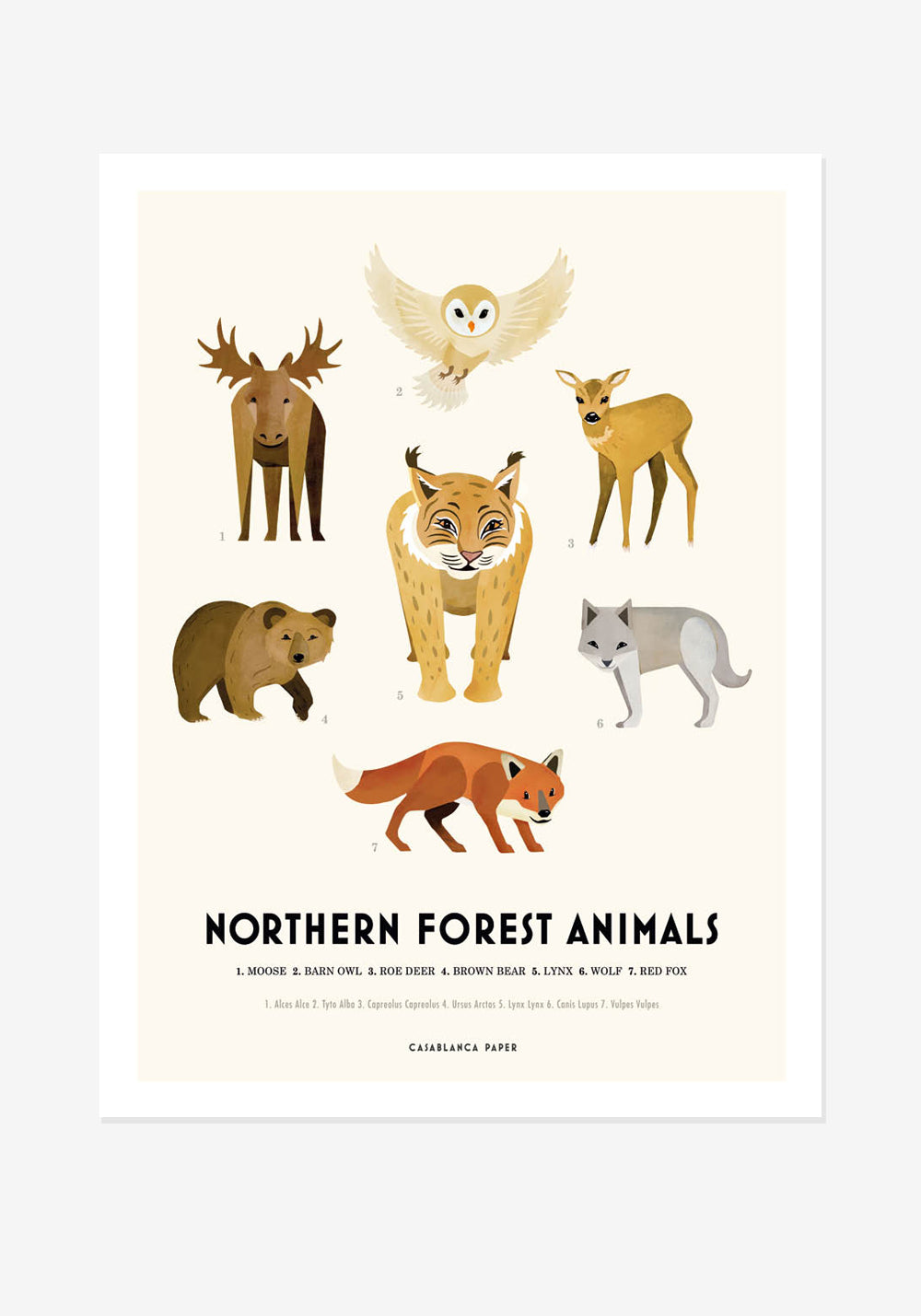 Poster, Casablanca Paper, Northern Forest Animals