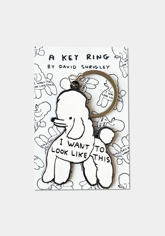 Keyring, I Want To Look Like This