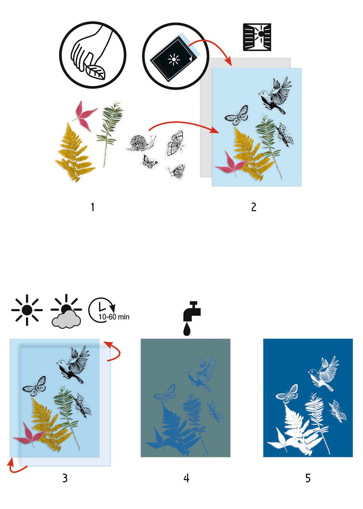 Cyanotype - Starter set