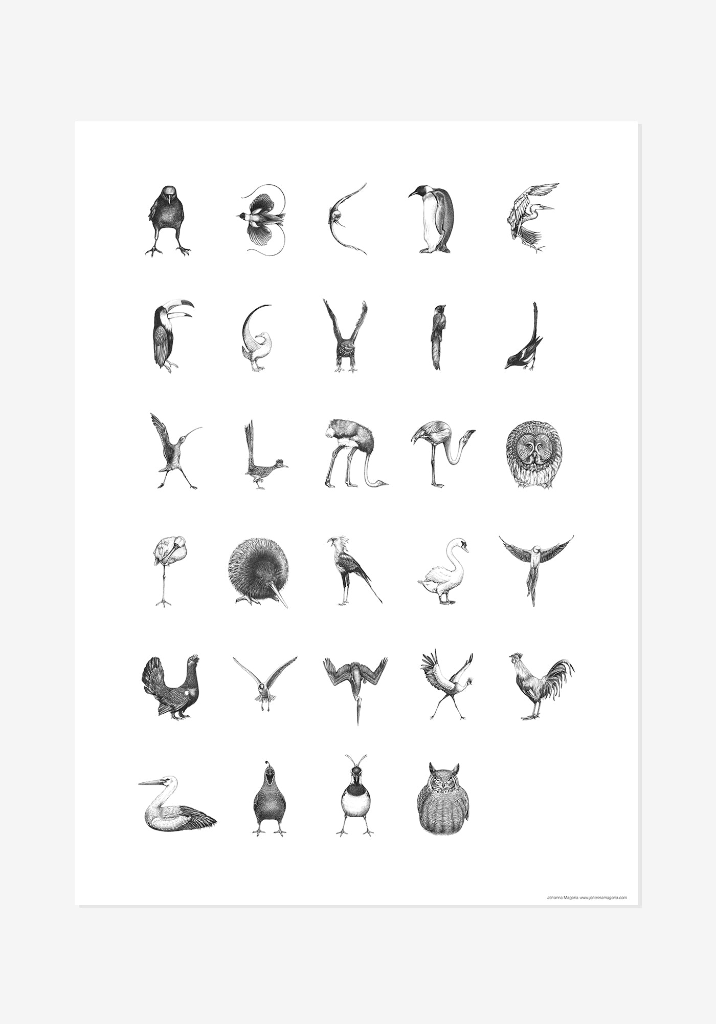 Poster, Johanna Magoria, Bird Alphabet