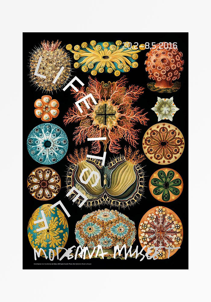 Poster, Ernst Haeckel, Kunstformen der Natur