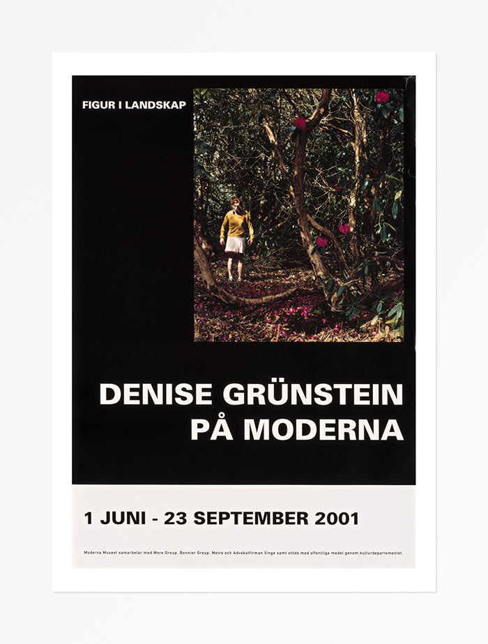 Poster, Denise Grünstein, Figur i landskap