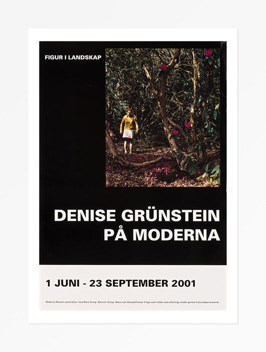 Poster, Denise Grünstein, Figur i landskap