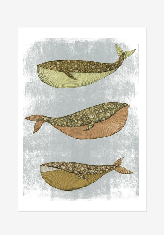 Poster, Maya Jönsson, Valar