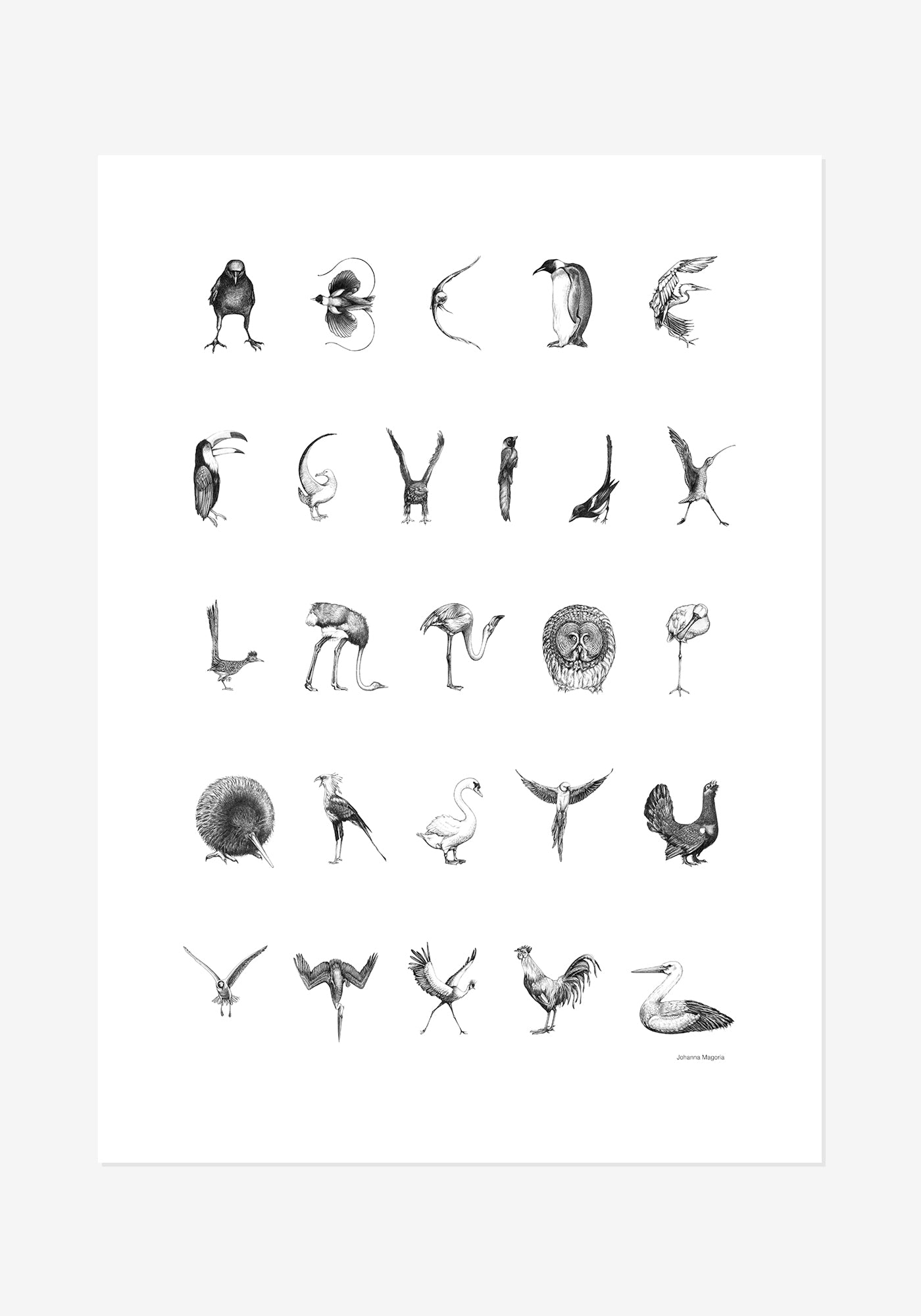 Poster, Johanna Magoria, Fågelalfabet, engelska