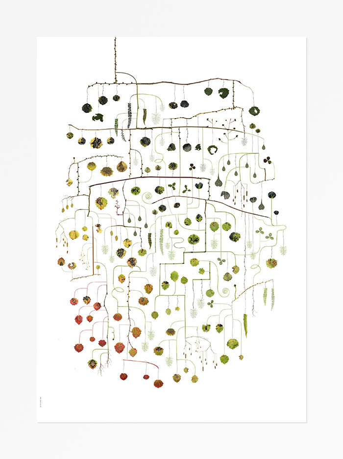 Poster, Lottas Träd, Aspen