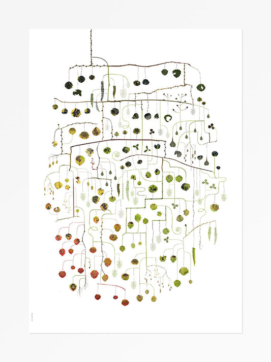 Poster, Lottas Träd, Aspen