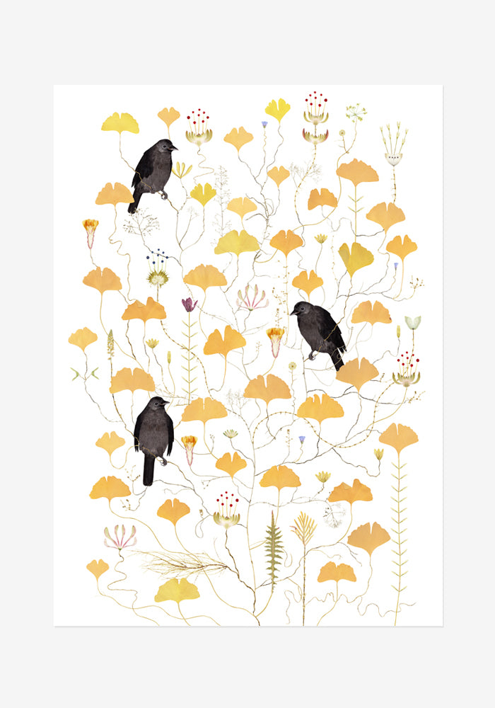 Poster, Lottas Träd, Kråkträd