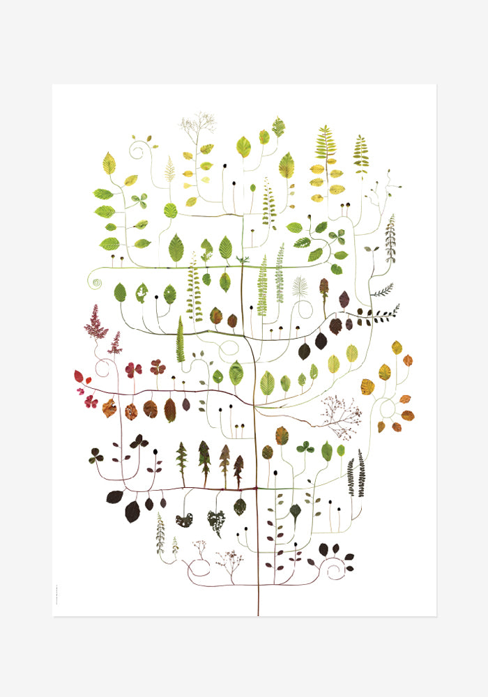 Poster, Lottas Träd, Boken