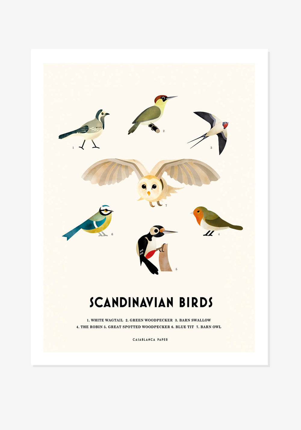 Poster, Casablanca Paper, Scandinavian Birds