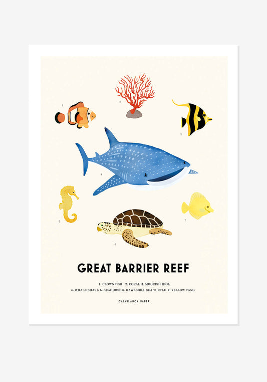 Poster, Casablanca Paper, Great Barrier Reef
