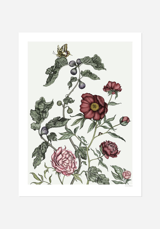 Poster, Johanna Magoria, Pioner och fikon