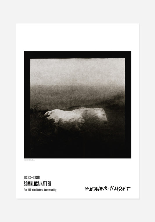 Poster, Tuija Lindström, The Horse