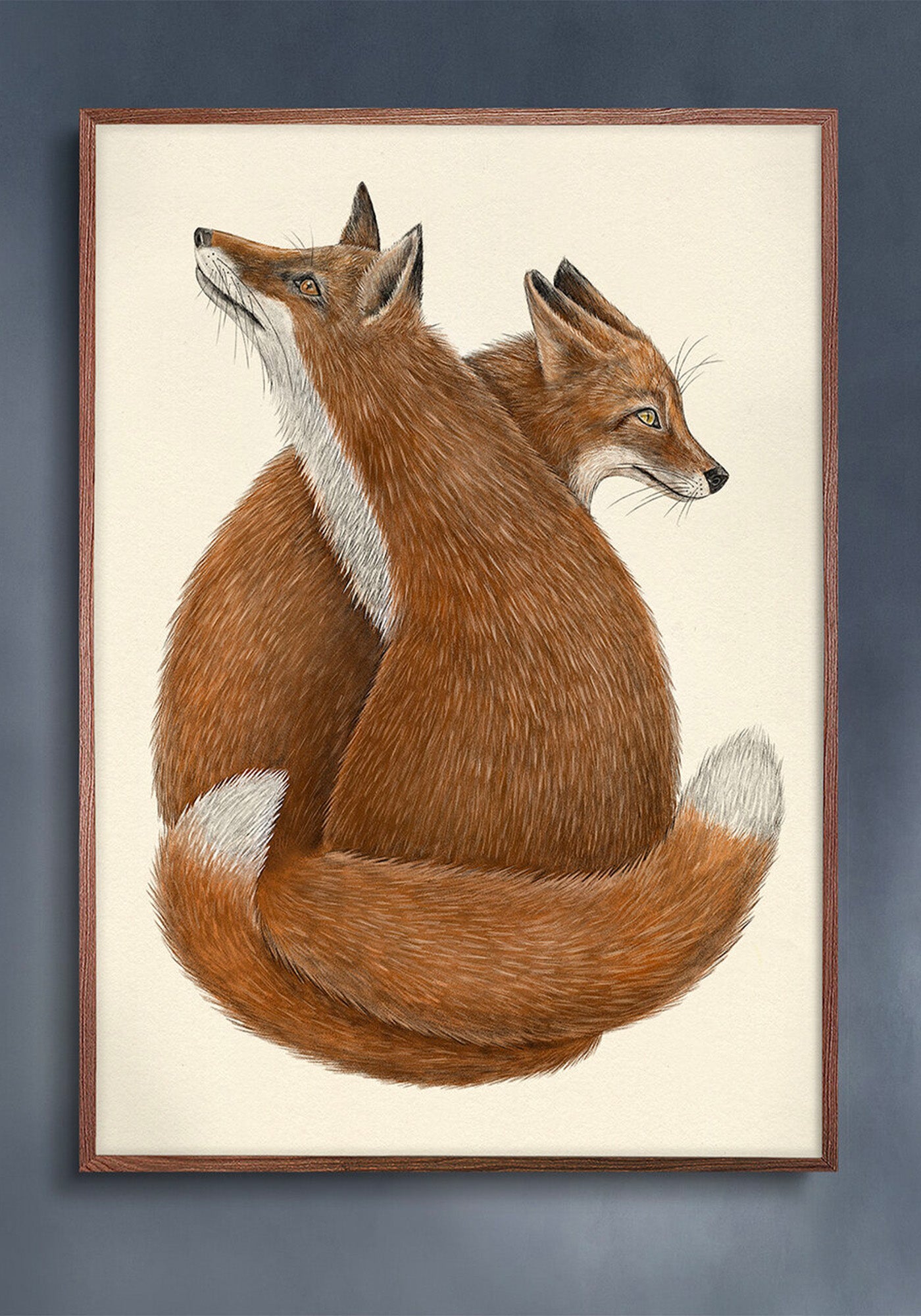 Poster, Jonna Fransson, Vänner