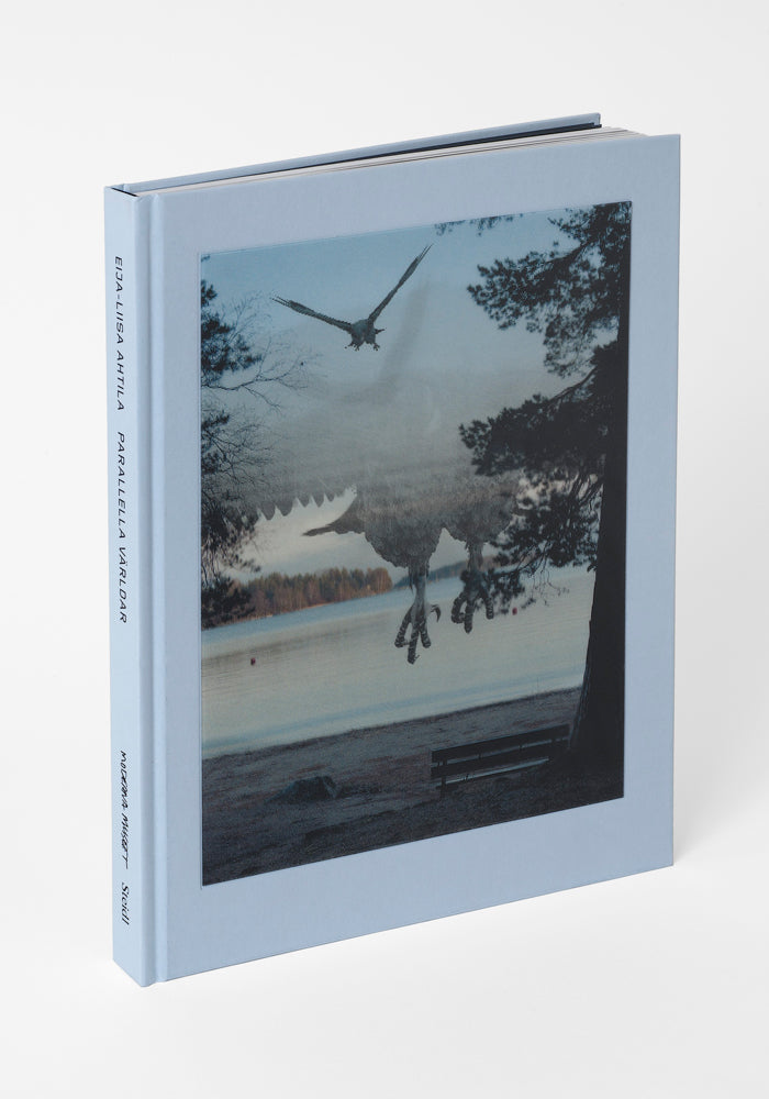 Eija-Liisa Ahtila: Parallel Worlds