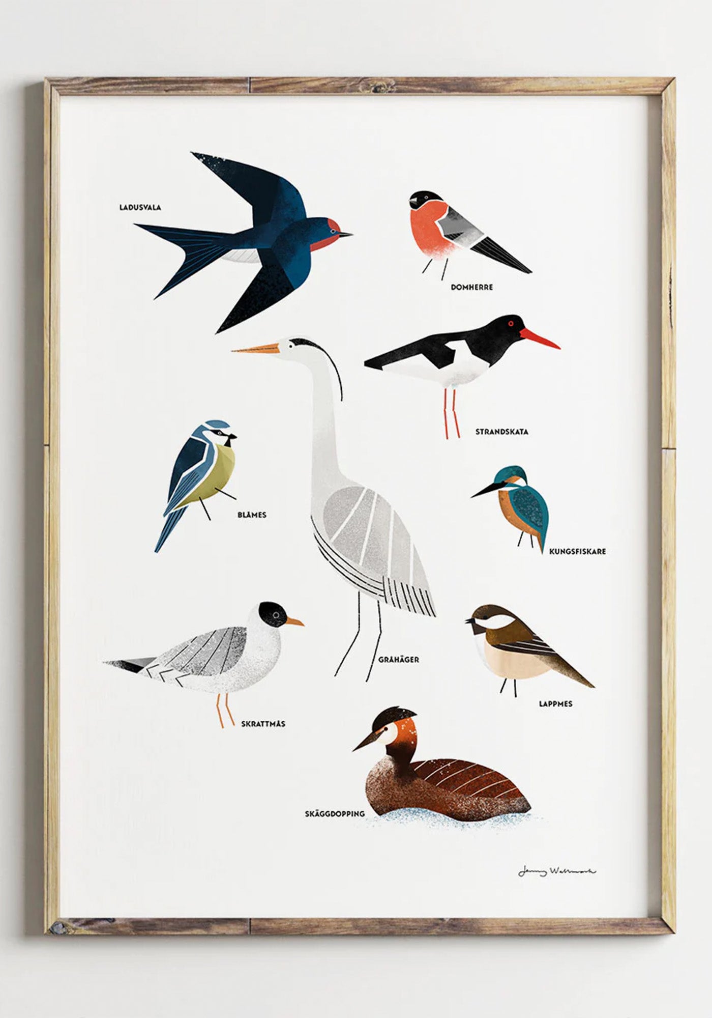 Poster, Jenny Wallmark, Swedish birds