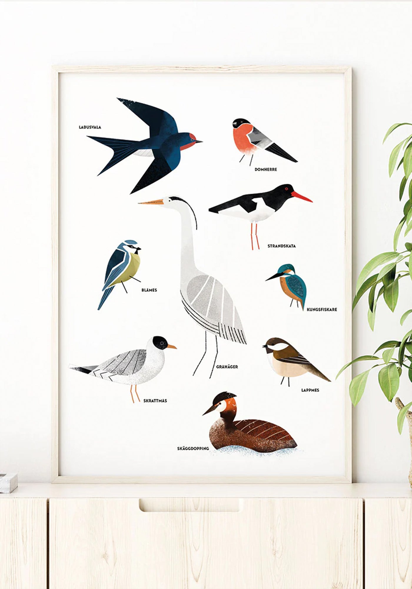 Poster, Jenny Wallmark, Swedish birds