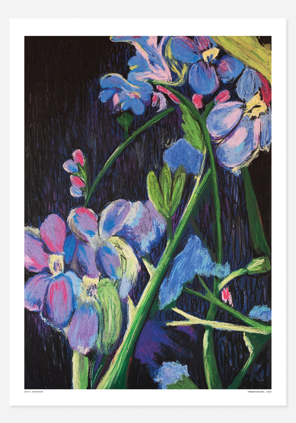 Poster, Sofia Johansson, Forget me not