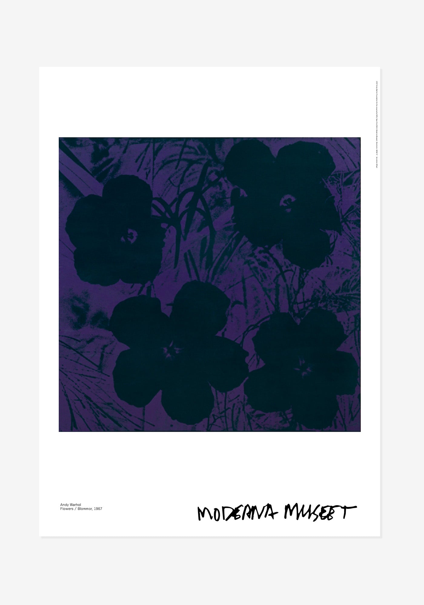 Poster, Andy Warhol, Blommor