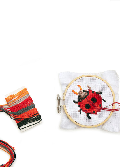 Embroidery kit, Ladybug