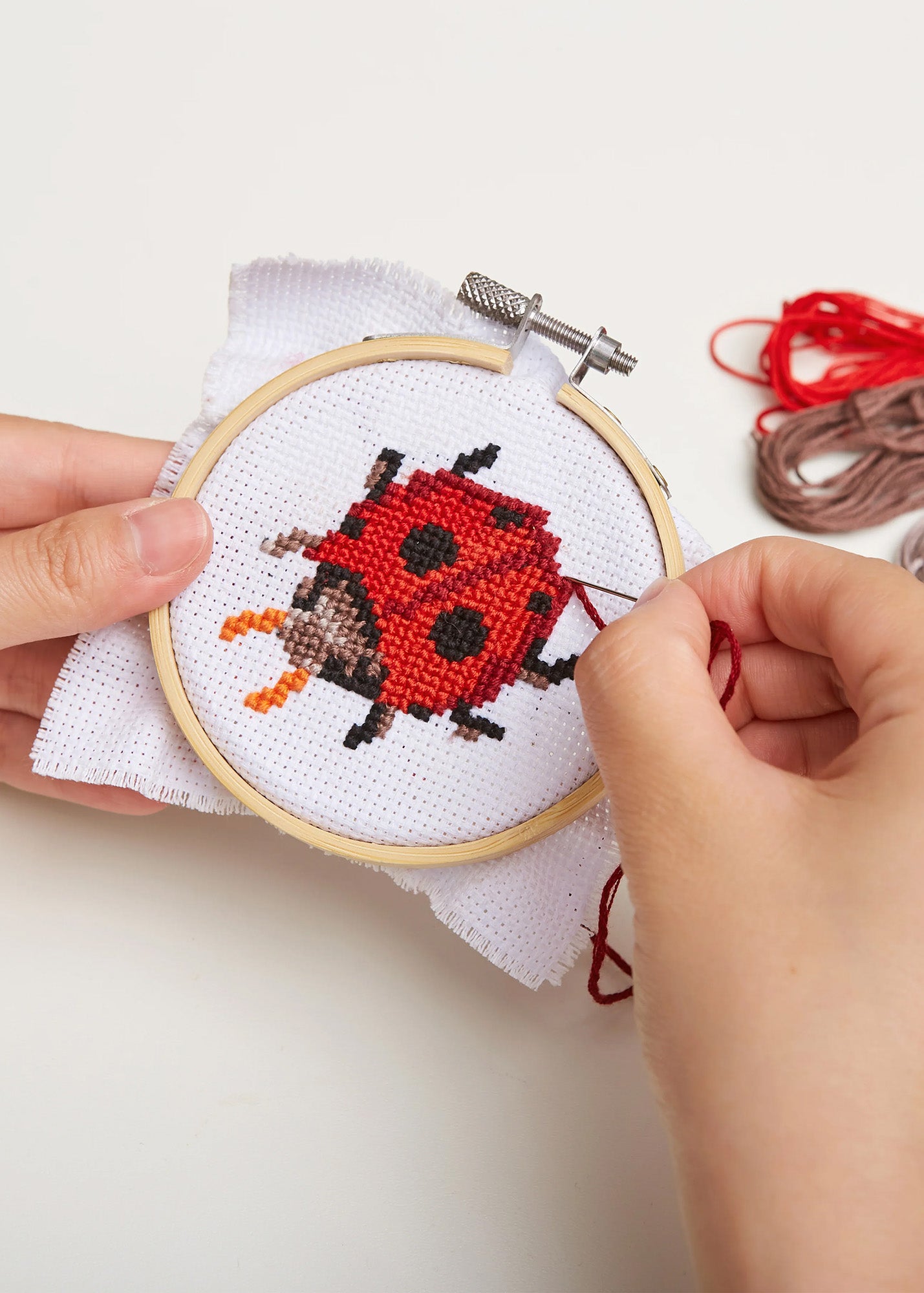 Embroidery kit, Ladybug