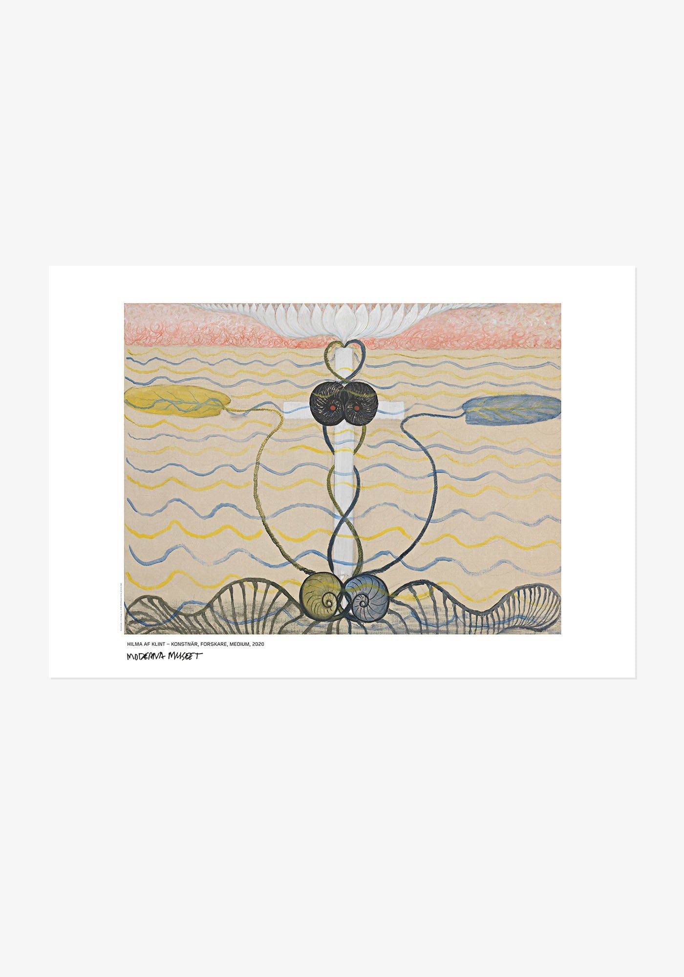 Poster av Hilma af Klints abstrakta verk Evolutionen, Nr 6. Motivet är symmetriskt och visar ett vitt kors omgivet av vågiga horisontella linjer i blått och gult, slingrande mörka former, samt en vit blomma högst upp mot en ljusrosa bakgrund.