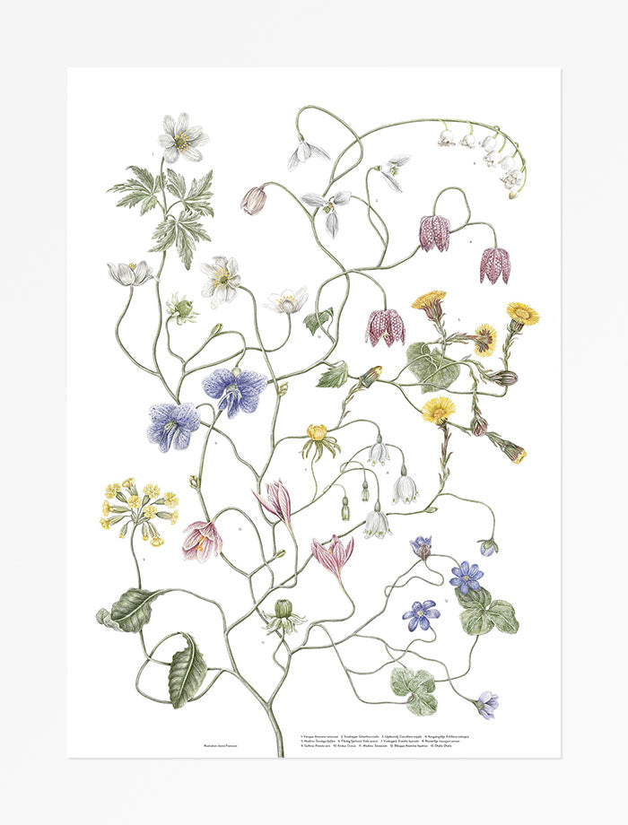 Mi93 - Poster, Jonna Fransson, Vårträd